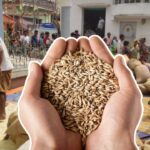 Names of 1.17 crore ration card holders are being removed from the list.